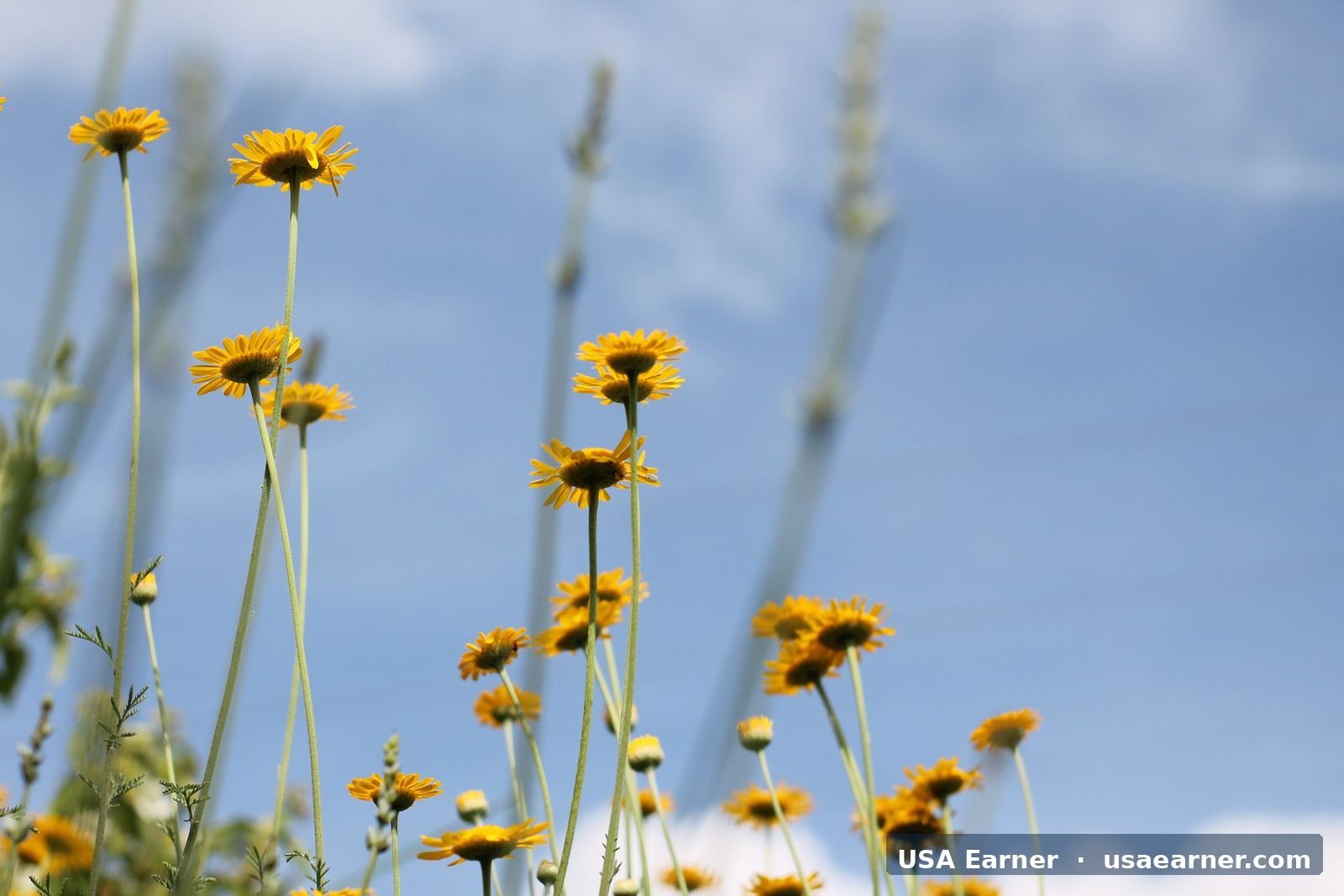 FHA vs. Conventional Loans: Which Is Right for You in 2026?