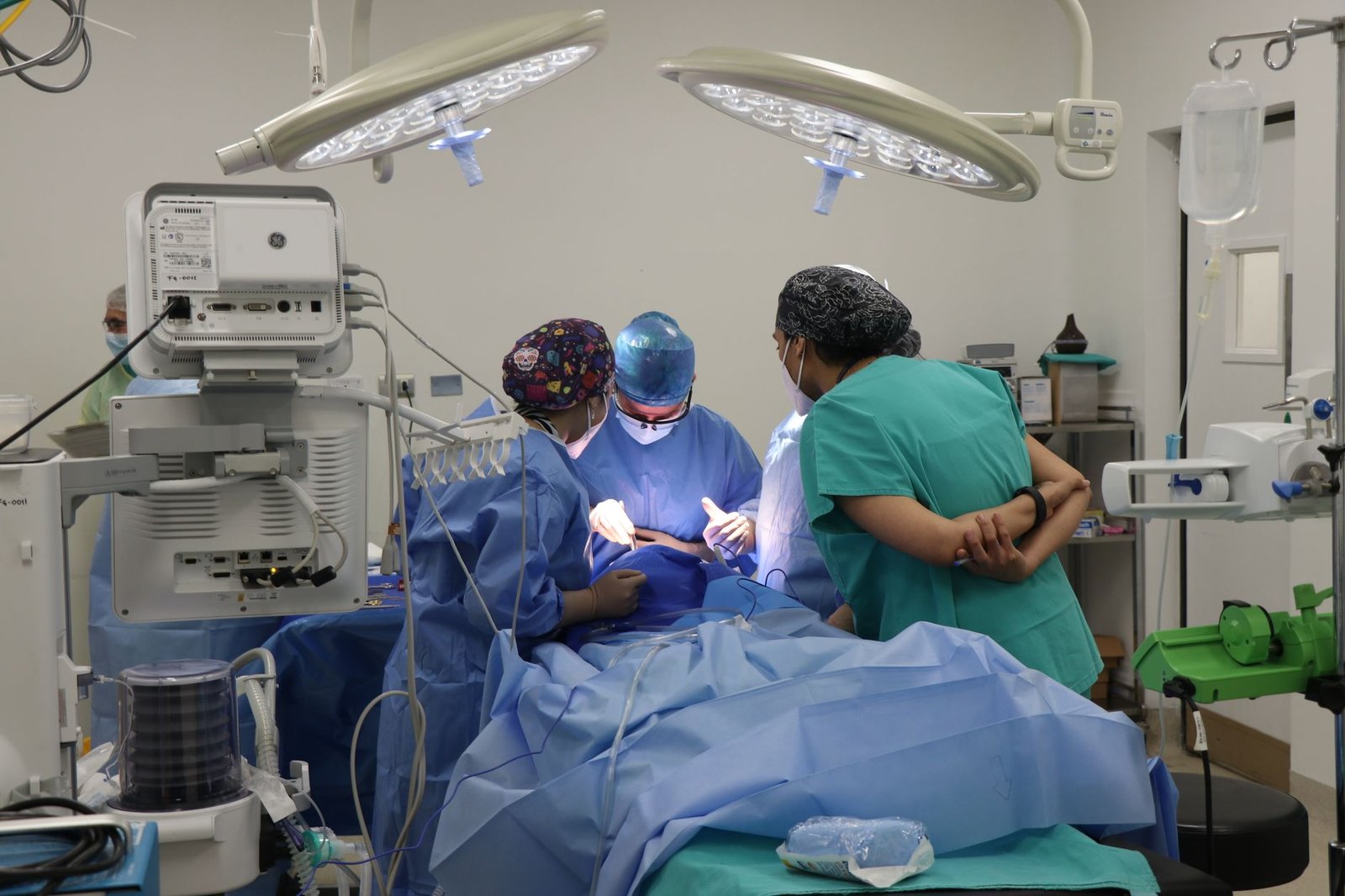 Veterinary surgery, the kind of emergency cost that makes pet insurance worth considering
